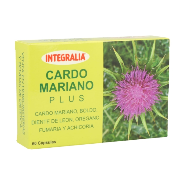 cardo-mariano-plus-2