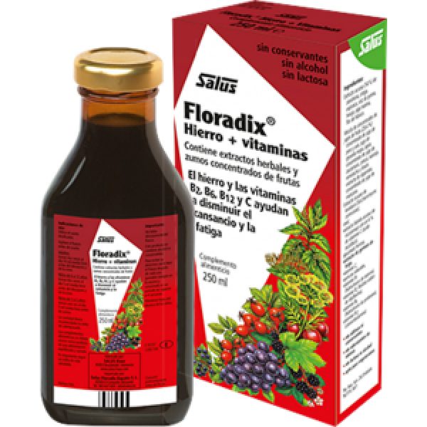 Floradix Jarabe 250 ml